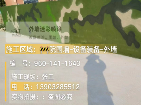 宿迁 迷彩漆喷涂价格（按平方米计费）